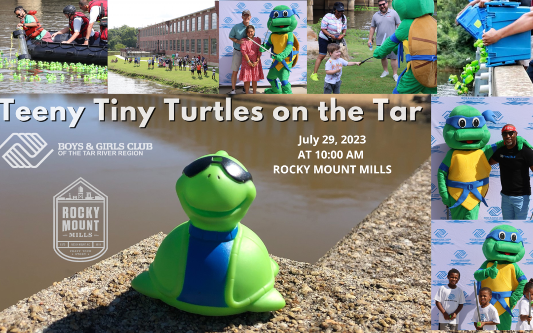 4th Annual Teeny Tiny Turtles on the Tar